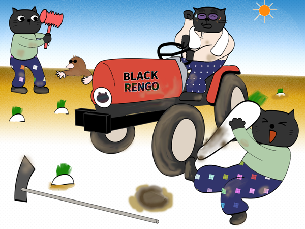 イラスト 黒猫 農業 クローのトラクター編 ４コマ漫画 ももものもんちー
