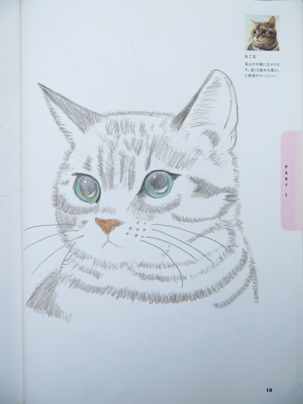 猫イラスト 万年筆おやじの備忘録