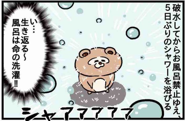 退院 そして猫と赤ちゃんの関係 ねこたぬの絵日記 Powered By ライブドアブログ