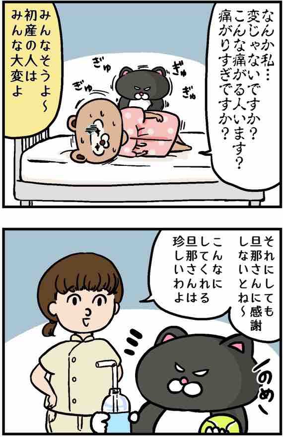 出産体験談 ついにテニスボール ねこたぬの絵日記 Powered By ライブドアブログ 出産体験談 ついにテニスボール ねこたぬの絵日記 Powered By ライブドアブログ