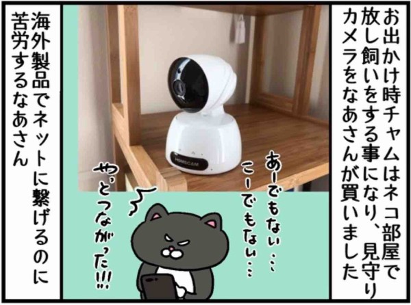 ネコ 見守りカメラ : ねこたぬの絵日記 Powered by ライブドアブログ
