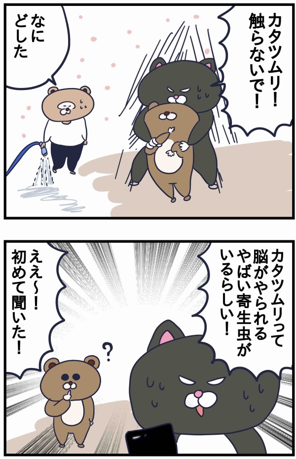 カタツムリを触ると死ぬ ねこたぬの絵日記 Powered By ライブドアブログ