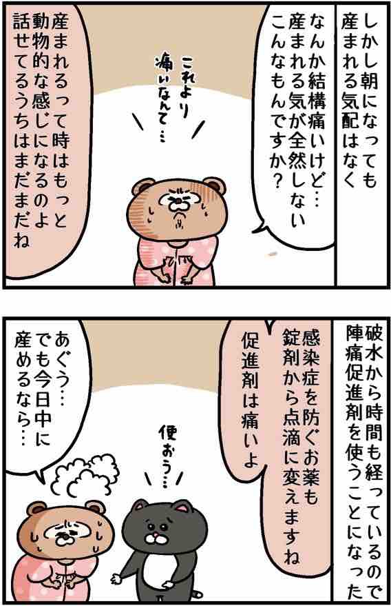 出産体験談 陣痛促進剤が怖い ねこたぬの絵日記 Powered By ライブドアブログ