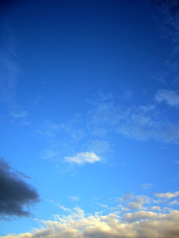 Colori Del Cielo 空の色 イタリアごろごろ猫記