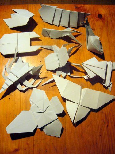 昆虫の折り紙 Origami Di Insetti イタリアごろごろ猫記