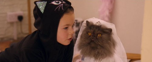 ジョージアの日記 ゆーうつでキラキラな毎日 猫がいたscene