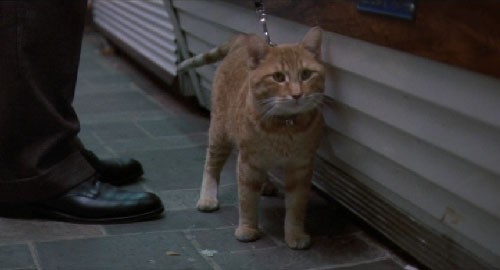 ハリーとトント 猫がいたscene