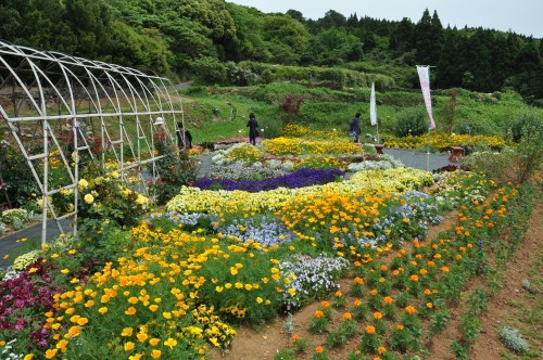 嗚呼gw 最終日 長島へ総員突撃 夢追い長島花フェスタ 怪傑 ド エリート男爵