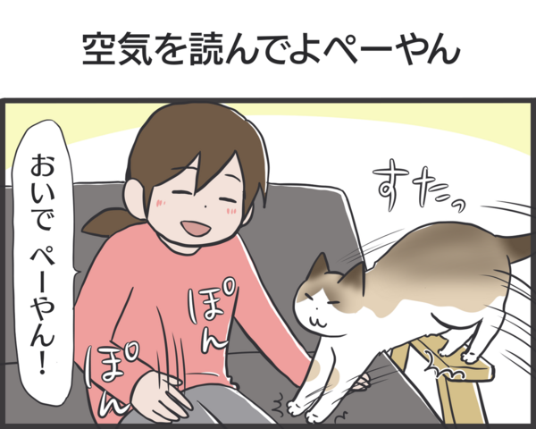 Peco更新のお知らせ 4コマ おもちゃで遊ぶぺーやんなどの写真 おそらくその平凡こそ幸せ 猫と家族の日常絵日記 Powered By ライブドアブログ