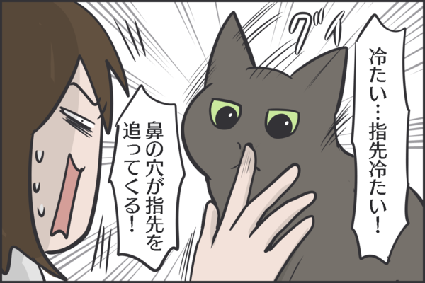 猫のクセがあるスリスリ : おそらくその平凡こそ幸せ 猫と私と家族の