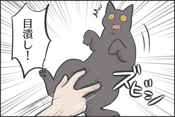 猫の第三の目を見た夫の行動 おそらくその平凡こそ幸せ 猫と家族の日常絵日記 Powered By ライブドアブログ