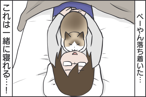 ぺーやんと一緒に布団の中で寝たい おそらくその平凡こそ幸せ 猫と家族の日常絵日記 Powered By ライブドアブログ