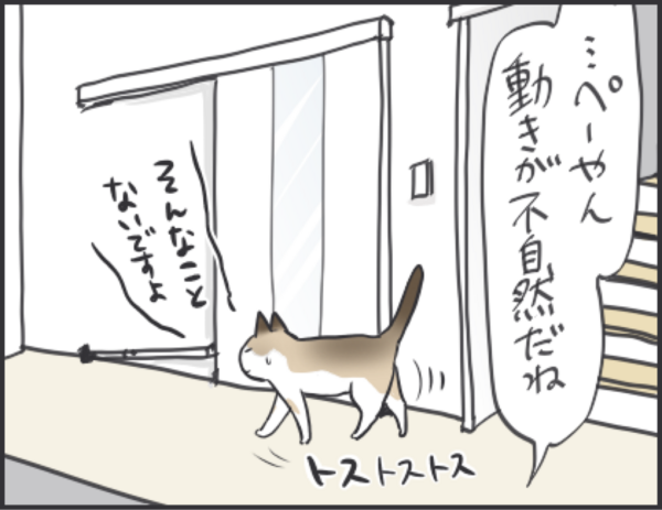 悪事を働く前は確認を怠らないぺーやん おそらくその平凡こそ幸せ 猫と家族の日常絵日記 Powered By ライブドアブログ