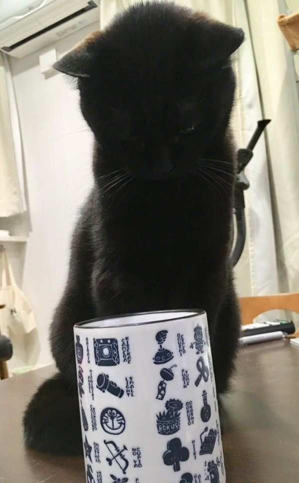 ねこモニっ 2 更新のお知らせ サザエの身っぽいぺーやん写真など おそらくその平凡こそ幸せ 猫と家族の日常絵日記 Powered By ライブドアブログ