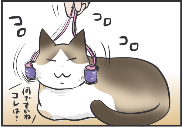 Peco更新のお知らせ ぺーやん月命日 ぺーやんとダンボール箱 おそらくその平凡こそ幸せ 猫と家族の日常絵日記 Powered By ライブドアブログ