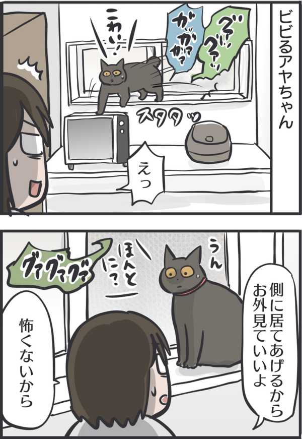 カエルの声が怖い猫 : おそらくその平凡こそ幸せ 猫と私と家族の日常