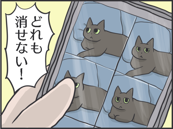 毎日が発見ネット更新のお知らせ 猫好きあるある おそらくその平凡こそ幸せ 猫と私と家族の日常 Powered By ライブドアブログ