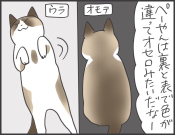 猫の色でオセロ妄想 : おそらくその平凡こそ幸せ 猫と私と家族の日常