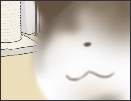 ぺーやんがボヤけるワケ おそらくその平凡こそ幸せ 猫と家族の日常絵日記 Powered By ライブドアブログ