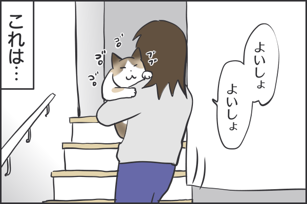 ぺーやんと一緒に布団の中で寝たい おそらくその平凡こそ幸せ 猫と家族の日常絵日記 Powered By ライブドアブログ