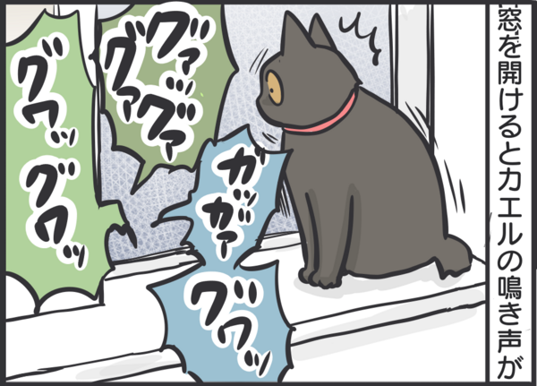 カエルの声が怖い猫 : おそらくその平凡こそ幸せ 猫と私と家族の日常