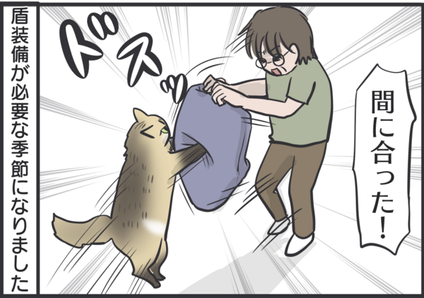 マロちゃんが怖い季節 : おそらくその平凡こそ幸せ 猫と私と家族の日常