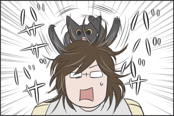 最近の我が家の困った日常 おそらくその平凡こそ幸せ 猫と私と家族の日常 Powered By ライブドアブログ