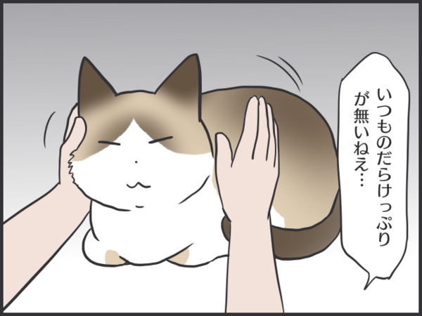 毎日が発見ネット更新のお知らせ だらけるスミちゃん写真 おそらくその平凡こそ幸せ 猫と家族の日常絵日記 Powered By ライブドアブログ