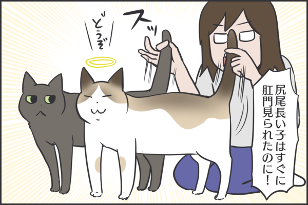 猫の鍵尻尾による肛門ガードが固かった おそらくその平凡こそ幸せ 猫と家族の日常絵日記 Powered By ライブドアブログ