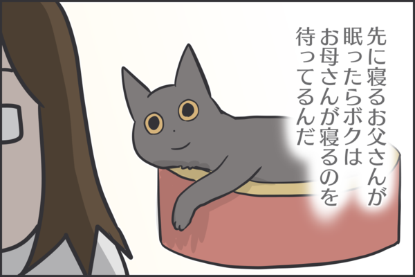 寝るのを待っている猫 おそらくその平凡こそ幸せ 猫と家族の日常絵日記 Powered By ライブドアブログ