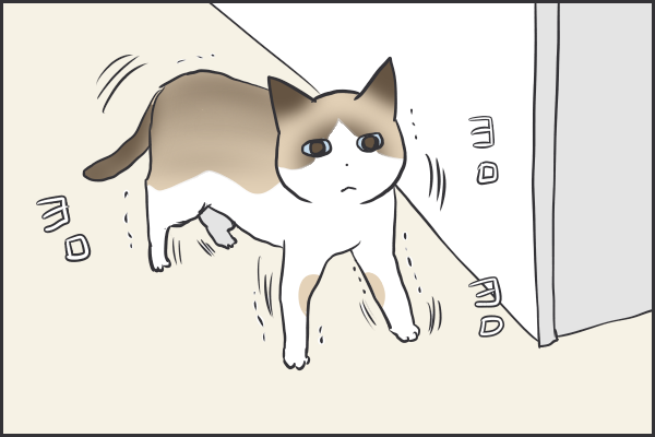 手術後のぺーやんのご報告 おそらくその平凡こそ幸せ 猫と家族の日常絵日記 Powered By ライブドアブログ