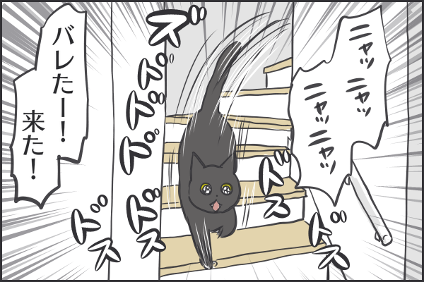 食欲の鬼スミレ おそらくその平凡こそ幸せ 猫と家族の日常絵日記 Powered By ライブドアブログ