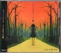 アインズヴァッハの墓 / Lost in the Fog : [world end.]