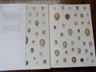 世界655種 鳥と卵と巣の大図鑑」完成 : 鈴木まもる 草刈り薪割り日記