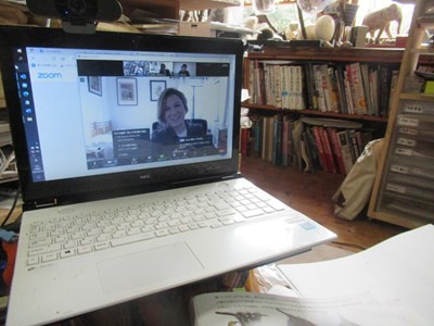 アメリカの人とzoomで打ち合わせ 池工事続き 鈴木まもる 草刈り薪割り日記