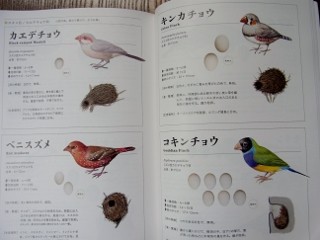世界655種 鳥と卵と巣の大図鑑」完成 : 鈴木まもる 草刈り薪割り日記
