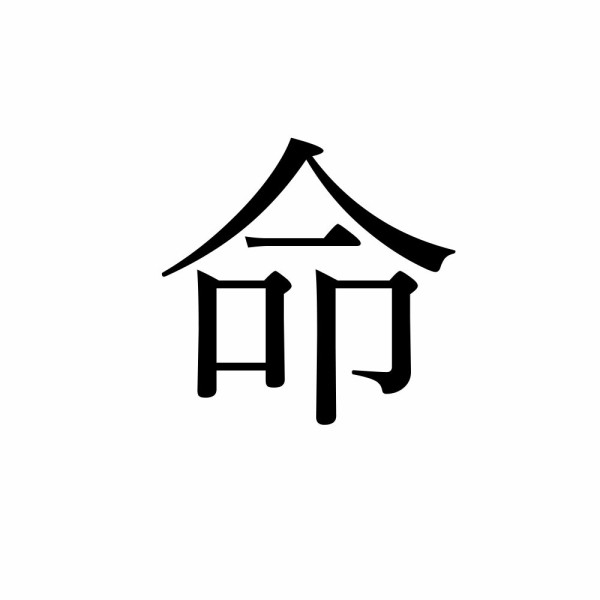 閲覧注意 知らないうちに集まってた傷口が治っていくタイムラプス集 ネタこもりブログ