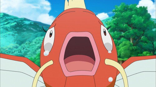 悲報 ポケモン最新作でコイキングが骨だけになるwww オタク Com オタコム 悲報 ポケモン最新作でコイキングが骨だけになるwww オタク Com オタコム