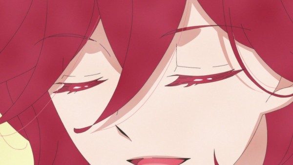 リルリルフェアリル ～魔法の鏡～ 49話 「望の決意、忍び寄る不安