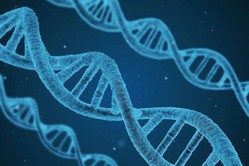 人生は親から与えられた遺伝子と環境で全てが決まるという事実 ニュース30over