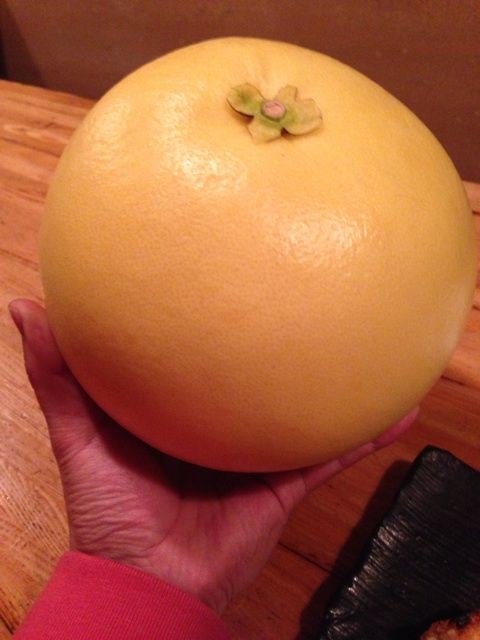 大きさ 味ともに規格外 超巨大柑橘類 晩白柚 ばんぺいゆ 食べてみた Newsact