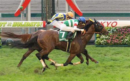 競馬 Cbc賞はシャイニングレイがv ラジオnikkei賞はセダブリランテス 帰ってきたニュー速俺日記