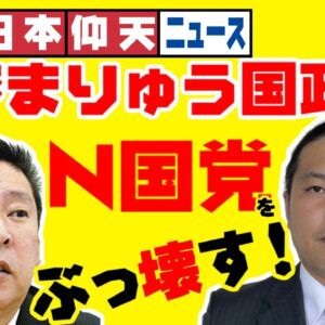 仰天 へずまりゅう 出馬会見 N国党をぶっ壊すwwwwww 炎上系n党 税金泥棒にwww ニュー速まとめコアラチャンネル
