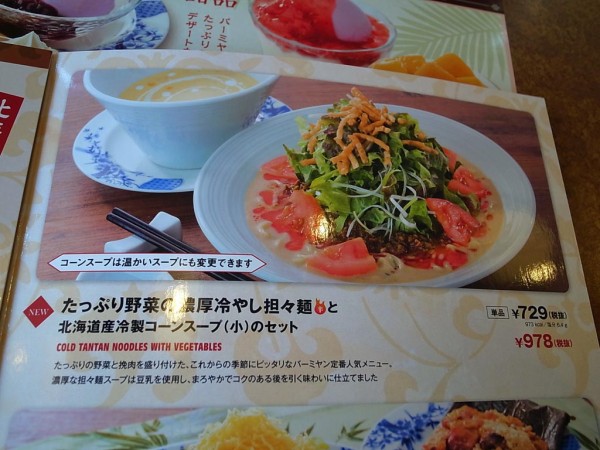 バーミヤンの たっぷり野菜の濃厚冷やし担々麺 ラーメン食べたら書くブログ