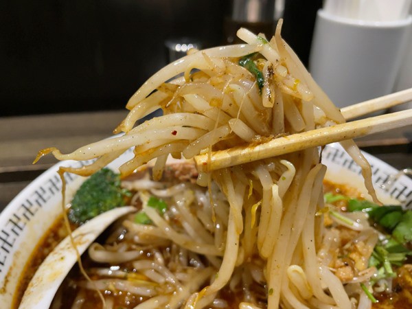 西葛西「卍力」スパイス・もやしラー麺＋もやし＋ニンニク : ラーメン