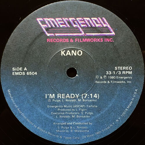 ダンスミュージック アナログレコード 22枚セット なぜイタリアのダンスミュージックは量産されたのか？ : 渋谷レコード
