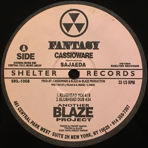 アナログレコードコレクション - 多様なアーティスト アナログレコード