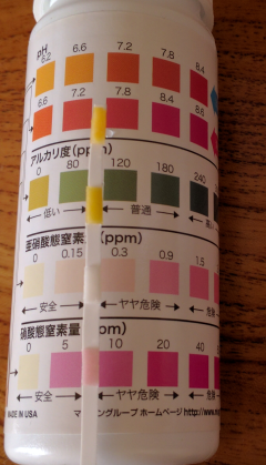 水草にハイポネックス開花促進 Ngsの やるったらやる