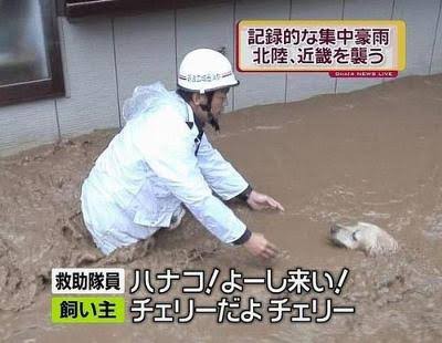 彡 ﾟ ﾟ 311東日本大震災 どんな災害やったんやろ Youtubeで動画見てみよ スペード速報 ゝ