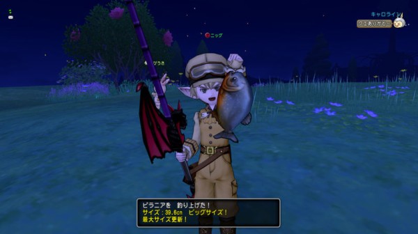 さかなぶくろが拡張できるなんて知らなかった ドラクエ10攻略ブログ 大魔王からは逃げられない